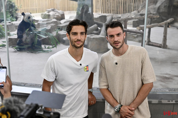 综上所述 综上所述