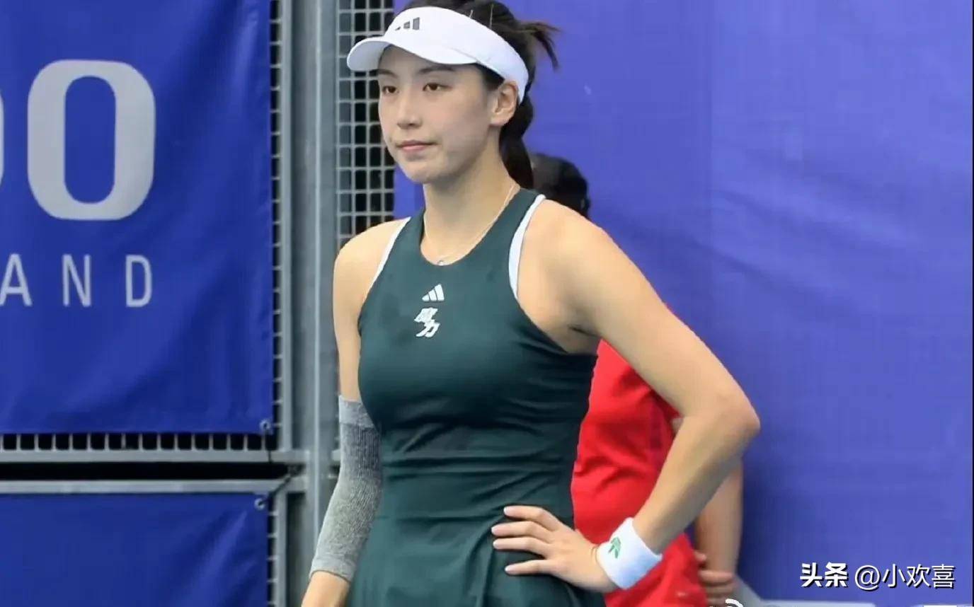 案是执行 案是执行