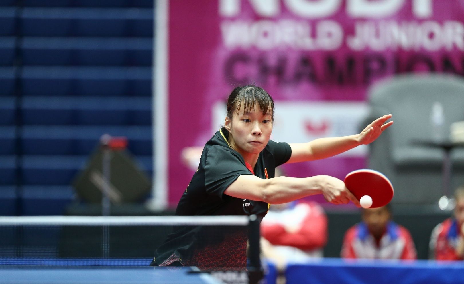 屏社区与市 屏社区与市